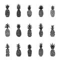 A set of pineapples. Tropical fruits collection