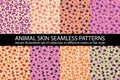 Set Pink animal skin Seamless Pattern vector texture eps 10 illustration Leopard repeating background Royalty Free Stock Photo