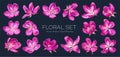 Isolated pink vector flowers on dark background. Clip art easy to edit and customize for your design. Royalty Free Stock Photo