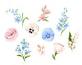 Set of pink, blue and white flowers isolated on white. Vector illustration. Royalty Free Stock Photo