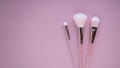 Set of pink cosmetic nylon makeup brushes on pink background with copy space. Foundation, powder and blush, eye shadow brush Royalty Free Stock Photo
