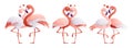 Set of pink flamingo lovers. A couple of the flamingo family, a symbol of love and devotion to each other. Cartoon style Royalty Free Stock Photo