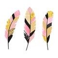 Set of pink and golden feathers. Vector illustration Royalty Free Stock Photo
