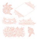 Set of pink line floral for wedding invintation. Vector blush leaves and flowers. Botanical elements for your compositions Royalty Free Stock Photo