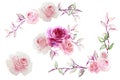 Set of pink rose and colorful tradescantia plant isolated on white background. Watercolor hand drawn illustration