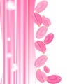 The set pink rose petals. White background Royalty Free Stock Photo