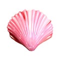 Pink seashells. Vector illustration. Under the sea. Underwater purple life. pink urchin. Mollusc. - Vector Royalty Free Stock Photo