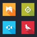 Set Pirate treasure map, Compass, Fish and Bird seagull icon. Vector