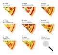 Set of pizzas with different ingredients. Tools for pizza. Vector flat illustrations.