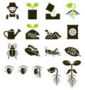 Plant icons. Vector Illustrations.