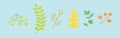 Set of plants with leaves cartoon icon design template with various models. vector illustration isolated on blue background Royalty Free Stock Photo