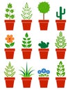 Set of plants in pots Royalty Free Stock Photo