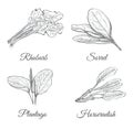 Set Of Plants Sketch Vector Illustration.