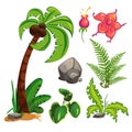 Set of plants