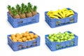 Set of plastic crate with fruits, pineapple, banana, apple and orange isolated on white