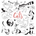 Set with playing cats of different breeds. Characters cat in the style of doodle cartoon. Vector illustration