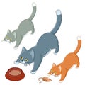 Set of playing cats