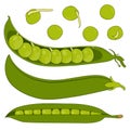 A set of pods and peas. Isolated vector illustration on white background Royalty Free Stock Photo