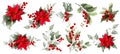 Set with Poinsettia, holly, winter berries in Christmas bouquet. Modern universal artistic templates. Corporate Holiday