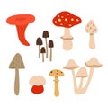 Set of poisonous mushrooms isolated on white background. Vector illustration in flat