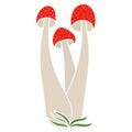 Set of poisonous mushrooms vector simple illustration isolated on white background. Coloured hand drawn version. Vector