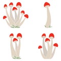 Set of poisonous mushrooms vector simple illustration isolated on white background. Coloured hand drawn version. Vector