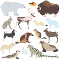 Set of polar animals Royalty Free Stock Photo