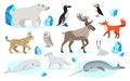 Set of polar animals icons, isolated on white background