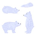 Set polar bears isolated on white background. White bear different poses: standing on two and four paws, laying. Animal character Royalty Free Stock Photo