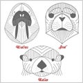 Set of polygonal animals. Polygonal logos. Geometric set of Kalan, Seal, Walrus on white.