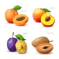 Set of polygonal fruit - apricot, peach, plum, sapodilla. Vector