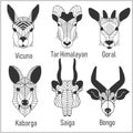 Set of polygonal head animals. Polygonal logos. Geometric set of Vicuna, Tar Himalayan, Goral, Kabarga, Saiga, Bongo