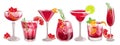 Set of pomegranate cocktails.Pomegranate margarita,martini,paloma,champagne with pomegranate seeds,spritzer,punch. Royalty Free Stock Photo