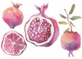 A set of pomegranate fruits of various shapes, whole fruits and cut into pieces. Royalty Free Stock Photo