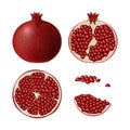 Set of pomegranate. Isolated half of ruby colorful pomegranate, whole round fruit, half, res slice and juicy seeds on white