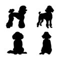 Set of Poodle Dog Silhouettes Royalty Free Stock Photo