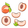 Set of pop art retro comic style vector peach. Pink peaches, who Royalty Free Stock Photo