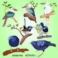 A set of popular Australian birds on a green background,