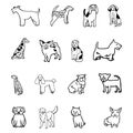 Set of popular breeds of dog. Hand drawn vector outlines