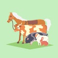 Set of popular colorful vector farm animals. Farm pets together Royalty Free Stock Photo