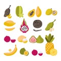 Set of popular exotic fruits. Tropical flavors of summer Royalty Free Stock Photo