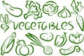 set of popular vegetables green outline