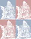 Set of portraits of cat`s face in profile, cute pussycat relaxed looking to side.