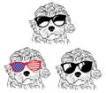 Set of portraits of dogs in glasses. A collection of vector heads of dogs of the breed of the breed Goldendoodle. Black