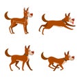 Set of poses for the animation of the dog. Running and walking cartoon cute dog