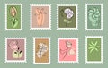 Set of postage stamps with images of drawn contour flowers on abstract backgrounds, icons, stickers, holiday decor Royalty Free Stock Photo