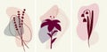 Set of posters with plants. Vector lavender, lily, muguet. Vinous and pink colour botanical posters