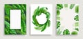 Frames of exotic tropical leaves, realistic set Royalty Free Stock Photo