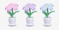 Set of pots with different flowers in pink, purple and blue colors