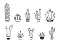 Set of potted cactus and succulent plants Vector outline illustration drawings on a white background